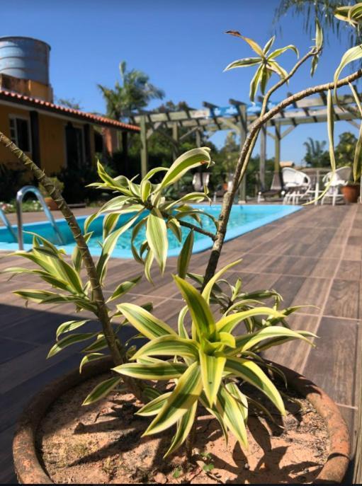 Pousada Sol Do Rosa Praia do Rosa Zewnętrze zdjęcie